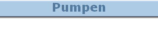 Pumpen